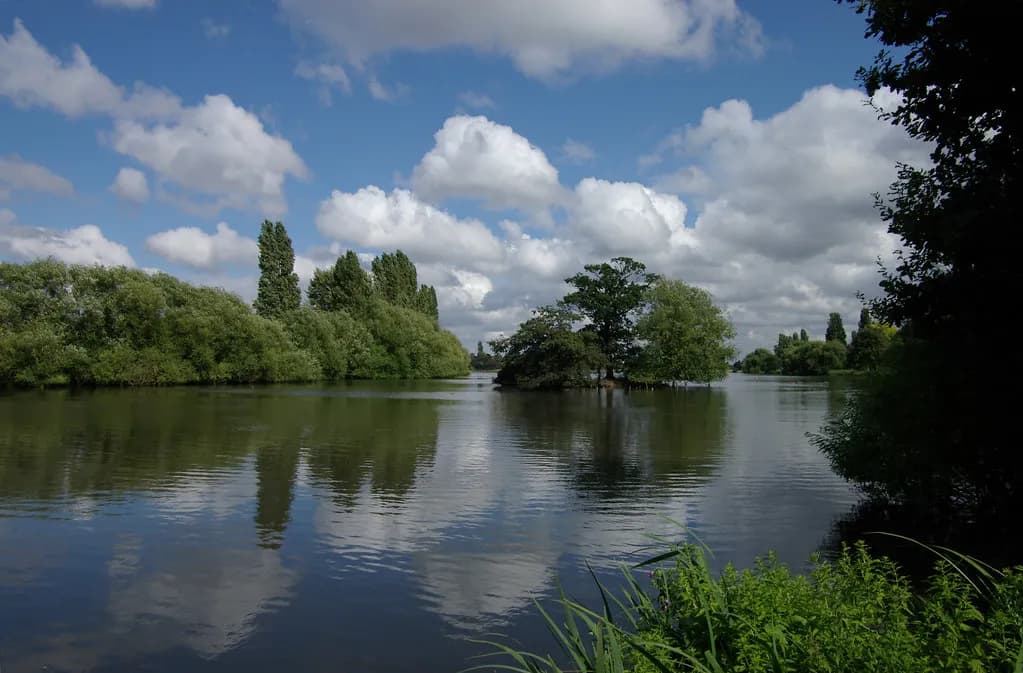 A wide shot of a river or lake with lush green trees and bushes lining the banks under a blue sky with fluffy white clouds, with reflections on the water.